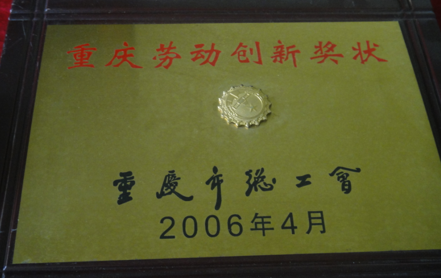 重庆市儿童孤独症（自闭症）康复治疗中心创新奖